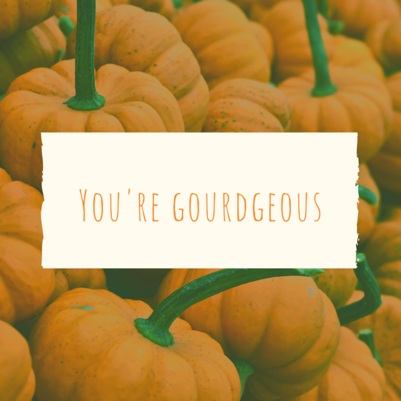 Pumpkin Patch Legendas para você