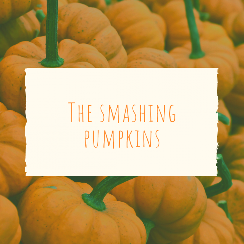 Pumpkin Patch Captions Smashing