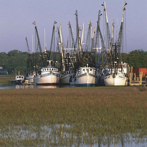 Bot Gullah