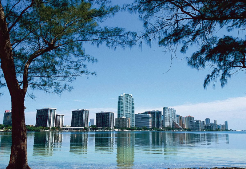 Miami Skyline